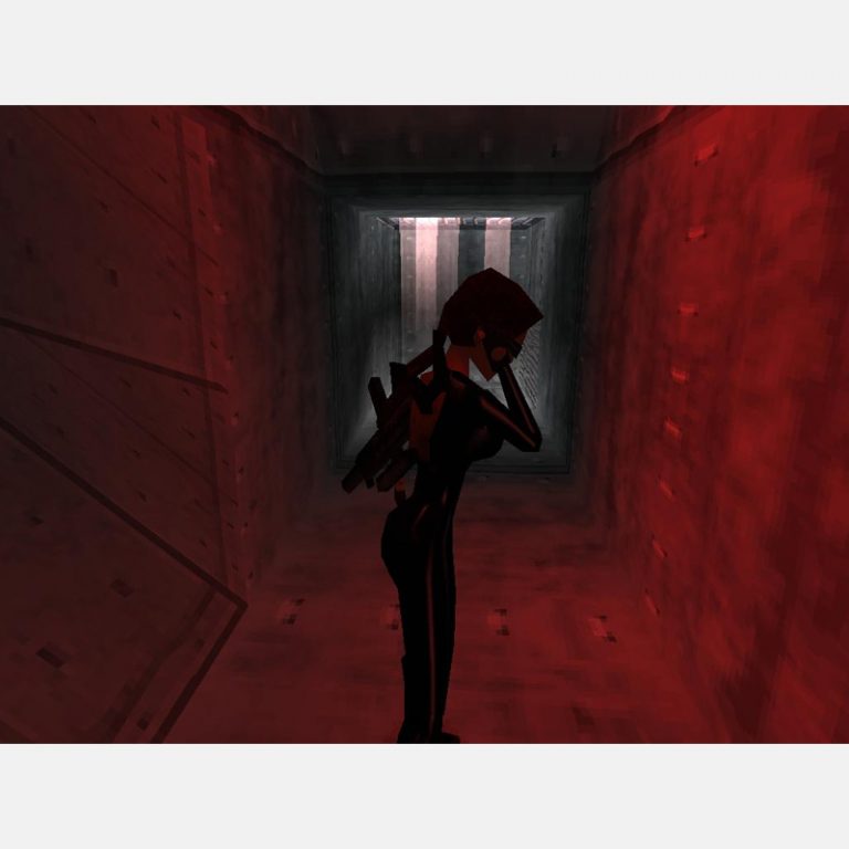 Tomb Raider Chronicles Sega Dreamcast neuf - Jeux vidéo