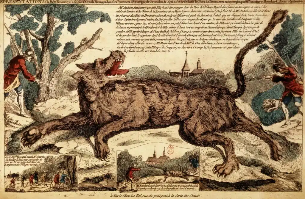 Loup mis a mort - National Geographic