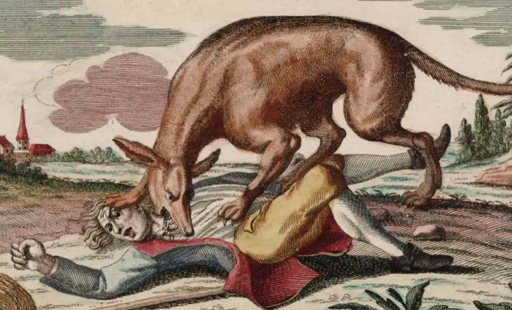 Bete du Gevaudan - National Geographic